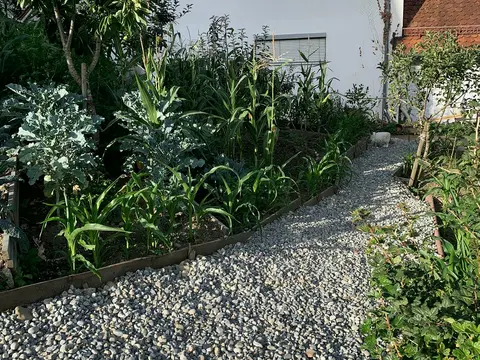 Arbeitsfoto: Kiesweg mit Holzeinfassung neben Gemüsebeeten an einer Hauswand.